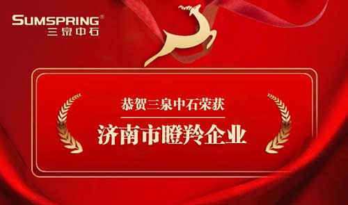 瞪羚企業